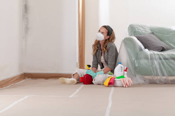 Reliable Black Mold Remediation contractor in Concord, VA by 24 Hour Mold Removal